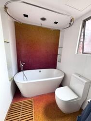 Nassim Mansion (D10), Apartment #560341761